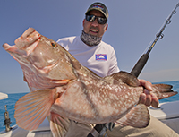 Reef fishing for red grouper